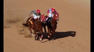 7 Cuadra Zaragoza vs Cuadra Bastida a 250 Yards-8.Dic.2024 MM Training Center