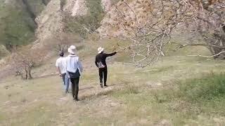 Каратов маёфка рафтем бо устодон