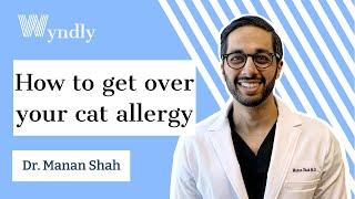 How to get over your cat allergy