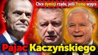 Pajac Kaczyńskiego. Mariusz Błaszczak chce dymisji rządu Donalda Tuska, gdy Trump wygra wybory.