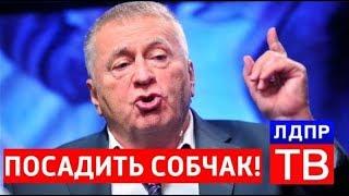 ПОЗОР!!! Жириновский о СОБЧАК! ЛЬЁТ ПРАВДУ! СМОТРИМ!