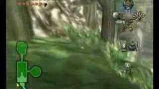 Twilight princess: Possible way to the Beta Forest