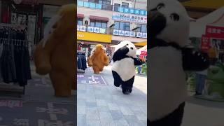 CHOTI JAHI ZINDGI KHUL KE JIWAGE | Funny Teddy Panda Compilation #punjabisong #song #viral #trending