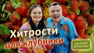 Хитрости для клубники, которые вам не скажут