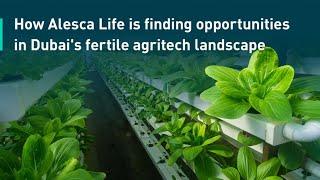 How Alesca Life is changing Dubai’s agricultural landscape