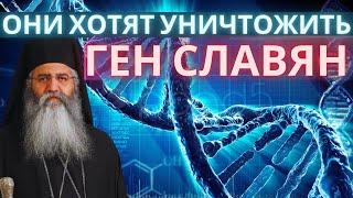 Митрополит Морфу Неофит. Славянский ген беспокоит представителей мирового порядка