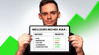 Les MEILLEURES Niches pour Agences d'Automatisation IA