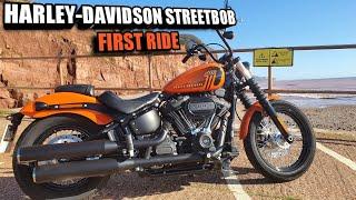 Harley-Davidson Street bob 114 FIRST RIDE