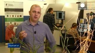 Roots of plants imaging - Futuris