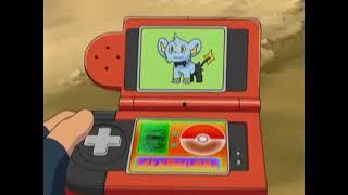 Shinx Pokédex Entries..wmv