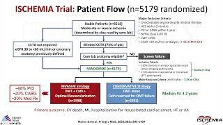 Who Are Appropriate Patients for Revascularization in the Post-ISCHEMIA Era?