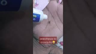 mosquito vs odomos wait for end#subscribe for more#odomos #mosquitokillerlamp