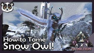 How To Tame Snow Owl | ARK: Extinction