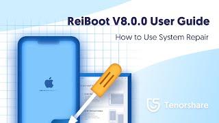 ReiBoot User Guide: How to Use iOS System Repair - 2021 Update