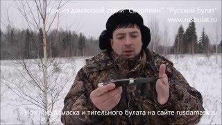 +18 Разделка лося ножом Скорпион Обзор Компания Русский булат Охота  Купить нож Дамаск Русские ножи