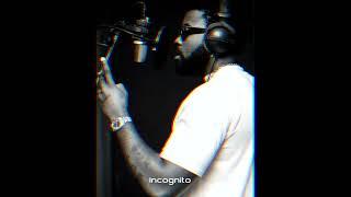 [FREE] Freestyle Type Beat - "Incognito" | FREE Type Beat 2024 | Rap Trap Instrumental 2024