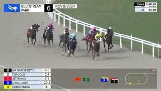 Gulfstream Park Carrera 6 - 8 de Noviembre 2024