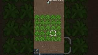 What #crops  should you be growing in #rimworld