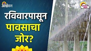 Rain Update : डाना चक्रीवादळाचा जमिनीवरील प्रवास सुरू; ताशी वेग ७५ ते ८५ किमीचा | Agrowon