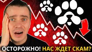 ️PAWS СРОЧНО!  ЧТО НАС ЖДЕТ НА ЛИСТИНГЕ 18.03!? ЭТО БУДЕТ МЕГА ПАМП ИЛИ ЭПИЧНЫЙ СКАМ!? ОСТОРОЖНО!