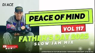SLOW JAM 2025 MIX | FATHER'S DAY | PEACE OF MIND VOL 117 | DJ Ace ️