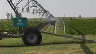 Irrigation Uniformity Testing