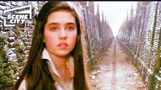 Labyrinth: Lost in the Maze (Jennifer Connelly HD Clip)