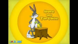 The Hare and The Tortoise