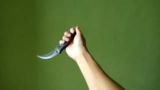 Valorant's new Karambit be like: