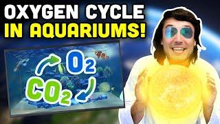 The Oxygen Revolution in Your Tank!