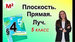 ПЛОСКОСТЬ.ПРЯМАЯ. ЛУЧ §4 математика 5 класс