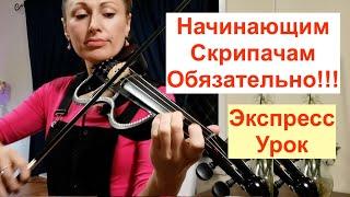 От этих упражнений на скрипке твои пальцы... Для начинающих!!!