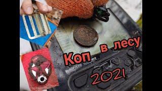 Коп по войне 2021.Война в лесах всегда рядом со стариной