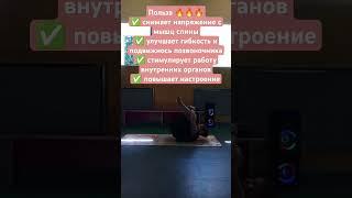 Упражнение из йоги 🩷 @OpenYoga108 #здороваяспина #йогадляначинающих #великиелуки #топ