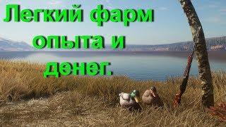 theHunter  Call of the Wild как быстро заработать деньги о опыт?