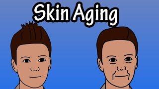 How Does The Skin Age - Skin Aging Process - Why Do We Get Wrinkles