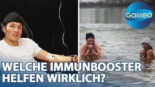 Vitamin-C-Infusion, Eisbaden und Zwiebelwasser: Immunbooster-Trends im Test