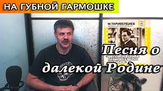 Песня о далекой Родине на губной гармошке
