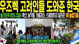 [해외감동사연] "우즈벡 고려인들 농업을 도와준 한국" 농가소득 50% 상승률 축산 농작물 겨울채소 스쿨팜까지 모든 걸 알려준 전세계 1위 한국농업 기술!