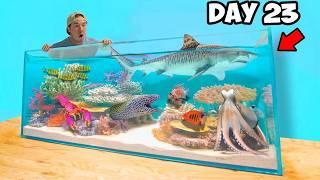 30 Days Completing My Dream Saltwater Reef Pond