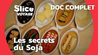 Japon : les Secrets de la gastronomie Nippone I SLICE VOYAGE I DOCUMENTAIRE COMPLET