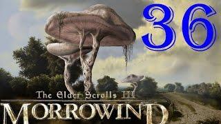 [36] TES III Morrowind  [Fullrest Repack v.1,4] Обряд инициации