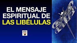 EL MENSAJE ESPIRITUAL De Las LIBÉLULAS Símbolo Del Más Allá ANIMAL De PODER Amuleto Poderoso