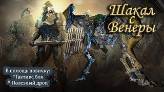 Шакал с Венеры (полезный дроп и тактика боя для новичка) 13+