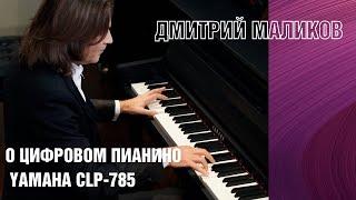 Цифровое пианино Yamaha CLP 785 | Отзыв Дмитрия Маликова