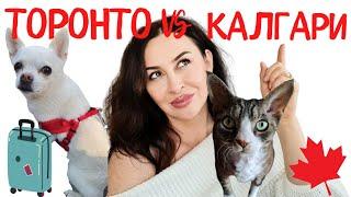 VLOG готовимся к переезду в Канаду. Сделали ошибку! | Iren Sigal #переездвканаду