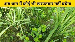 धान में होने वाले सभी खरपतवारों को करें जड़ से नष्ट | Dhan ke kharpatwar nashak | paddy Herbicide