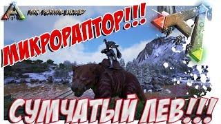 ARK  Survival Evolved - ПРИРУЧЕНИЕ СУМЧАТОГО ЛЬВА И МИКРОРАПТОРА! TAMING THYLACOLEO, MICRORAPTOR!