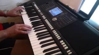 Группа крови  Yamaha PSR S950