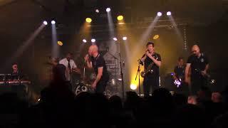 Two Tone Club - Turn Off the Television (Zikenstock Festival 2023 Cateau-Cambrésis) [HD]